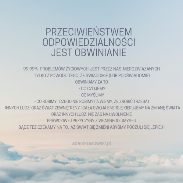 Adam Krasowski Odpowiedzialnosc